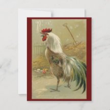 rooster vindt paaseieren