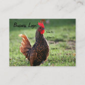  Rooster, Visitekaartje (Achterkant)