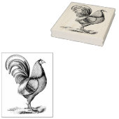 Rooster voor rechter rubberen kunststempel Rubberstempel (Gestempeld)