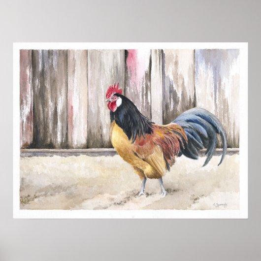 Rooster Waterverf Art Print (Voorkant)