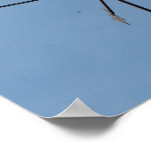 Rooster Weather Vane Poster (Hoek)