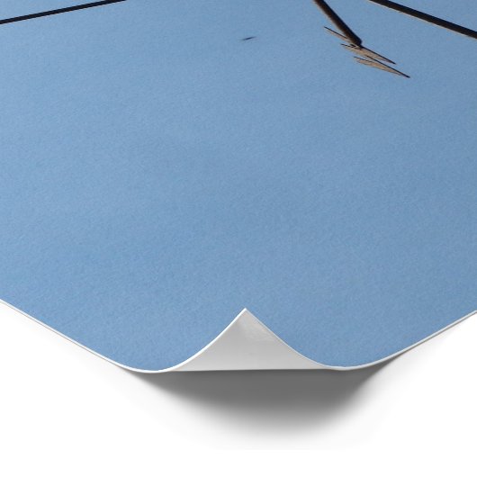 Rooster Weather Vane Poster (Hoek)