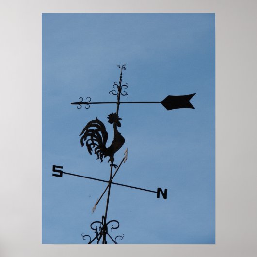 Rooster Weather Vane Poster (Voorkant)