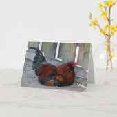 Rooster-Wenskaart Kaart (Gele Bloem)