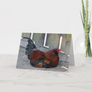  Rooster-Wenskaart Kaart