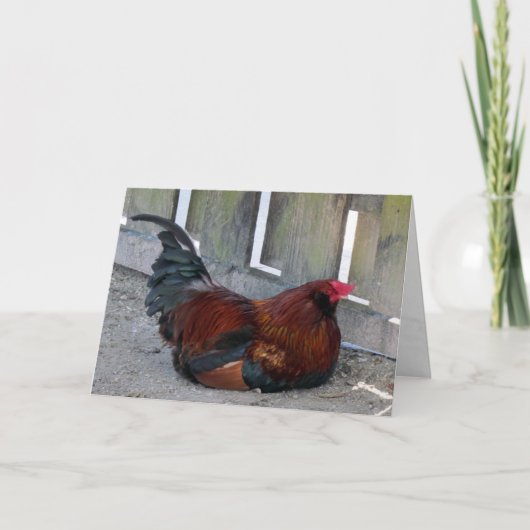 Rooster-Wenskaart Kaart (Voorkant)