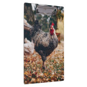 Rooster zwart-wit met twee hennen in Natuur Klembord (Rechts)