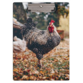 Rooster zwart-wit met twee hennen in Natuur Klembord (Voorkant)