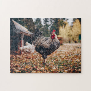 Rooster zwart-wit met twee hennen in Natuur Legpuzzel