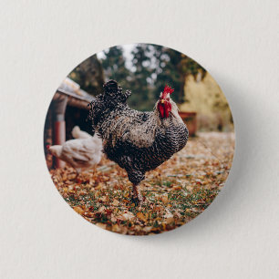 Rooster zwart-wit met twee hennen in Natuur Ronde Button 5,7 Cm
