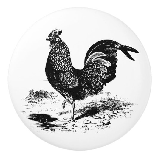  rooster zwarte witte keukendecor keramische knop (Voorkant)