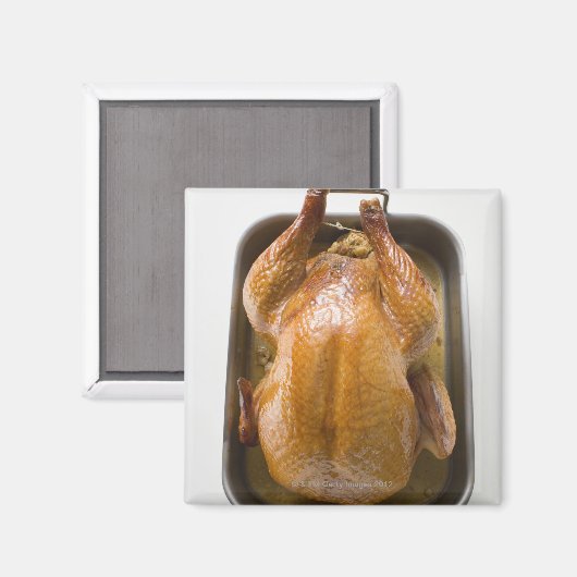 Roosterkalkoen in kofferbak, dicht magneet (Voorkant / Achterkant)
