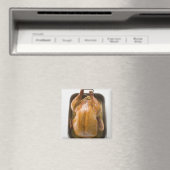 Roosterkalkoen in kofferbak, dicht magneet (Insitu (Vaatwasser))