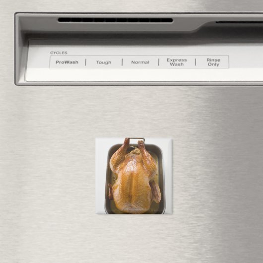 Roosterkalkoen in kofferbak, dicht magneet (Insitu (Vaatwasser))