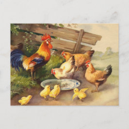  roosterkippen en kuikens briefkaart land