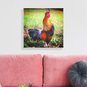 Roosterkweekdier Boerderij Canvas Afdruk (Insitu (Woonkamer))
