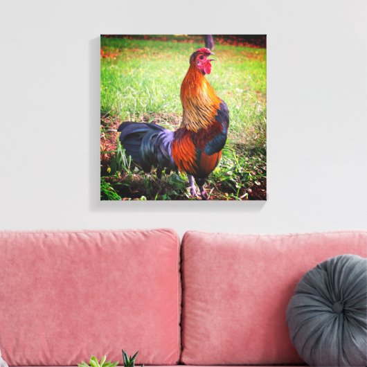 Roosterkweekdier Boerderij Canvas Afdruk (Insitu (Woonkamer))