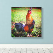 Roosterkweekdier Boerderij Canvas Afdruk (Insitu (Houten vloer))