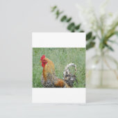 Roosters Briefkaart (Staand voorkant)