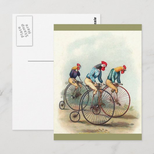 Roosters Briefkaart (Voorkant / Achterkant)