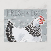 Roosters Call II Briefkaart (Voorkant)