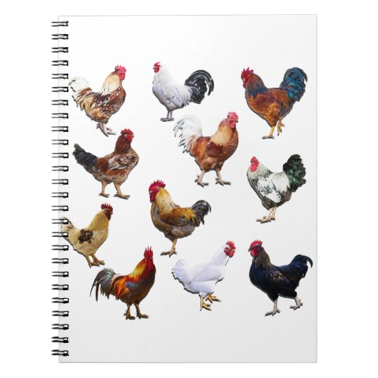 Roosters collage-kleurkip notitieboek (Voorkant)