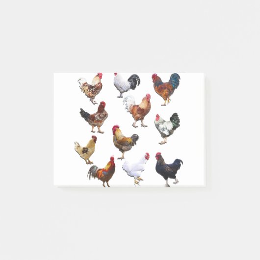 Roosters collage-kleurkip post-it® notes (Voorkant)
