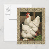 Roosters en Engels buiten Hen House met witte rand Briefkaart (Voorkant / Achterkant)