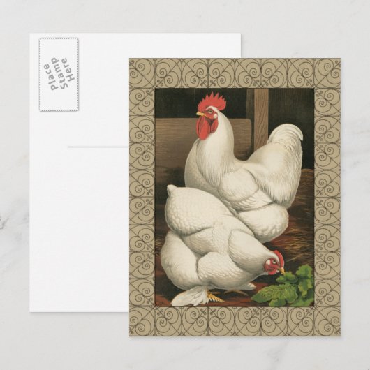Roosters en Engels buiten Hen House met witte rand Briefkaart (Voorkant / Achterkant)