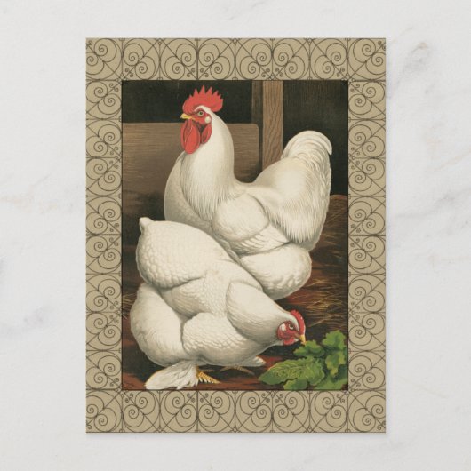 Roosters en Engels buiten Hen House met witte rand Briefkaart (Voorkant)