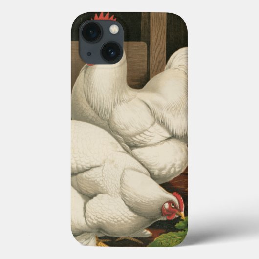 Roosters en Engels buiten Hen House met witte rand Case-Mate iPhone Case (Achterkant)