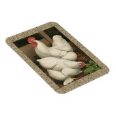Roosters en Engels buiten Hen House met witte rand Magneet (Rechterzijde)
