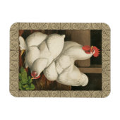 Roosters en Engels buiten Hen House met witte rand Magneet (Horizontaal)