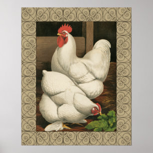Roosters en Engels buiten Hen House met witte rand Poster