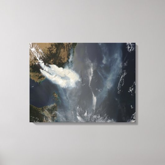 Roosters en rook in Zuidoost-Australië Canvas Afdruk (Voorkant)