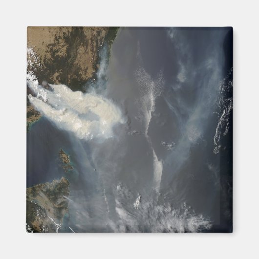 Roosters en rook in Zuidoost-Australië Magneet (Voorkant)