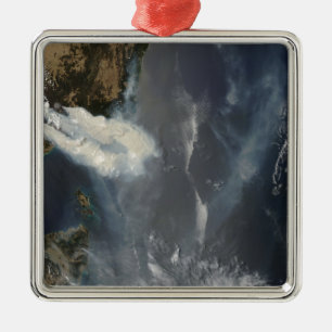 Roosters en rook in Zuidoost-Australië Metalen Ornament