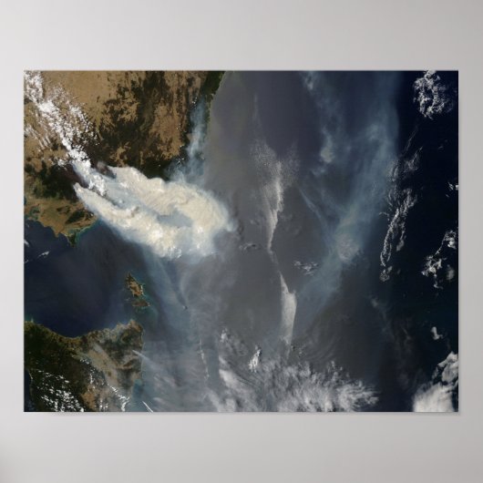 Roosters en rook in Zuidoost-Australië Poster (Voorkant)