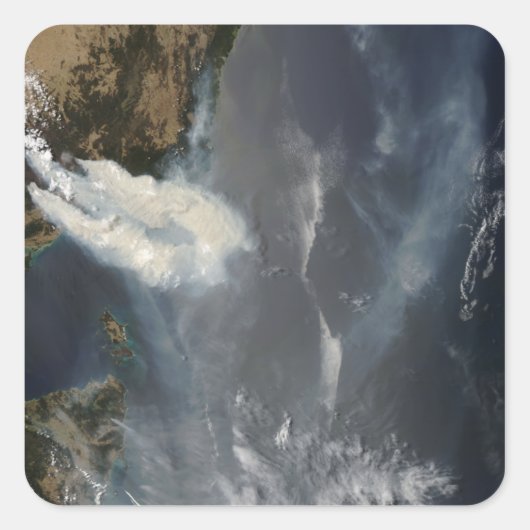 Roosters en rook in Zuidoost-Australië Vierkante Sticker (Voorkant)