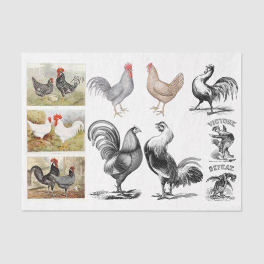  Roosters Hens Boerderij ontkoppelen Collage Tissuepapier (Voorkant)