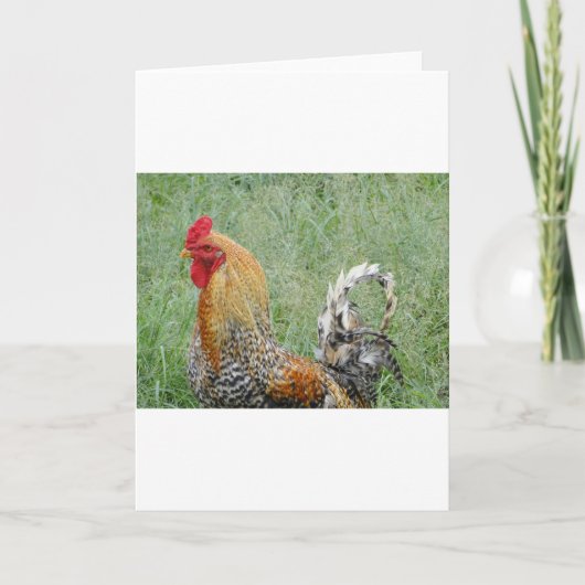 Roosters Kaart (Voorkant)