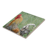 Roosters Tegeltje (Zijkant)