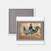Roosters zijn trots magneet (Voorkant / Achterkant)