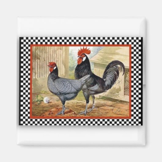 Roosters zijn trots magneet (Voorkant)