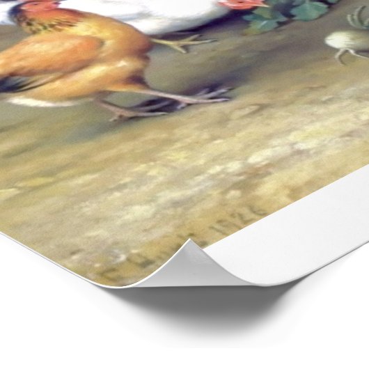 Roosterturnippen boerderij poster (Hoek)