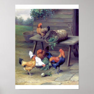 Roosterturnippen boerderij poster