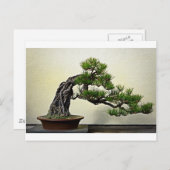 Root over Rock Pine Bonsai Briefkaart (Voorkant / Achterkant)