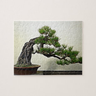 Root over Rock Pine Bonsai Legpuzzel