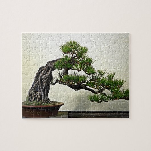 Root over Rock Pine Bonsai Legpuzzel (Horizontaal)