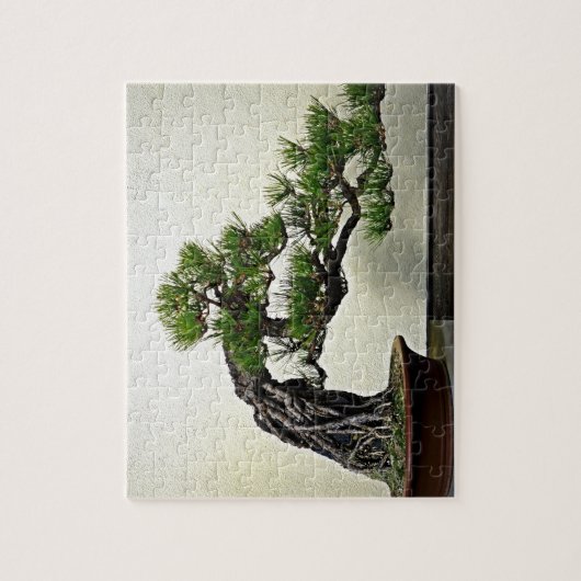 Root over Rock Pine Bonsai Legpuzzel (Verticaal)